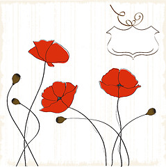 Image showing poppies floral background