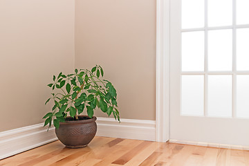 Image showing Green plant decorating a room corner