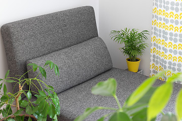 Image showing Chaise longue and plants in the living room