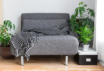 Image showing Gray fabric chair and plants in the living room