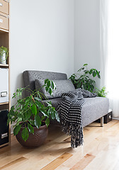 Image showing Living room with comfortable armchair and plants