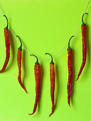 Image showing Dry red peppers