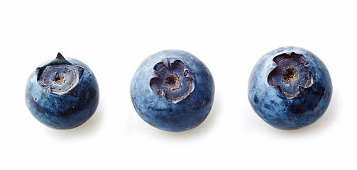 Image showing three blueberries macro on white background