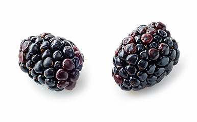 Image showing two fresh blackberries macro on white background