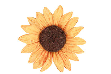 Image showing sunflower for decoration on white background