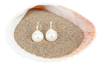 Image showing two pearl earrings and sea shells on white