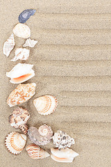 Image showing sea shells with sand as background 