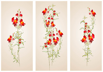 Image showing Vertical  banner floral elements.Illustration red flowers.
