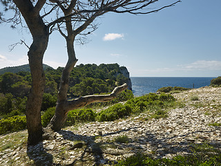 Image showing Nature park Telascica