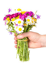 Image showing Hand giving bouquet of wildflowers