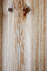 Image showing owl eyes in wood