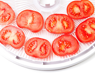 Image showing Ripe tomato on food dehydrator tray, ready to dry