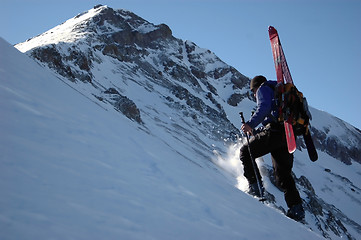 Image showing Ski Mountaineer