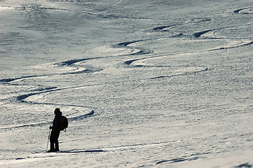 Image showing powder skiing