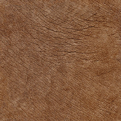 Image showing Elephant skin seamless natural texture