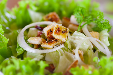 Image showing Caesar salad close-up