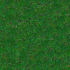 Image showing Grass. Seamless Texture.