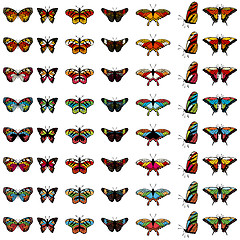 Image showing butterfly set
