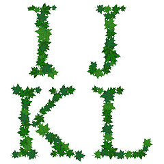 Image showing Summer maples leaves letter set