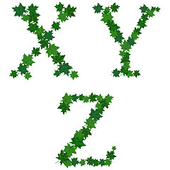 Image showing Summer maples leaves letter set