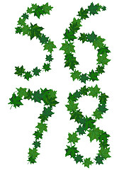 Image showing Summer maples leaves letter set