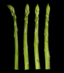 Image showing Asparagus