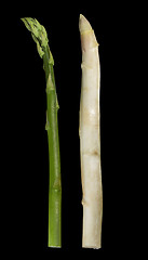 Image showing Asparagus