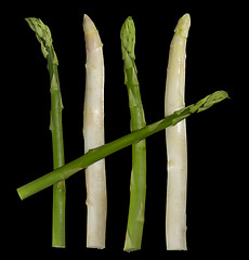 Image showing Asparagus