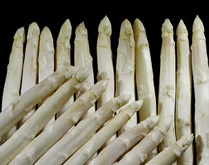 Image showing Asparagus