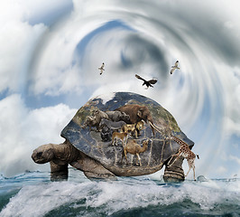 Image showing World Turtle Concept