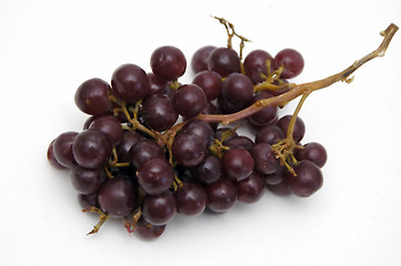 Image showing Bunch of Grapes