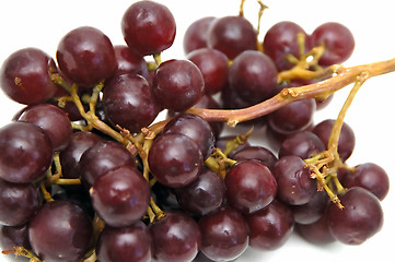 Image showing Bunch of Grapes