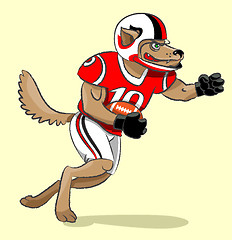 Image showing Wolf - football player