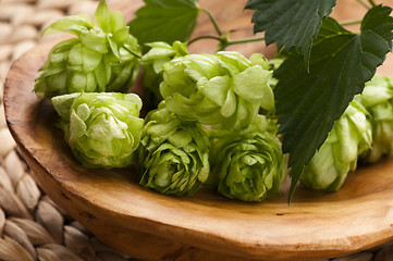 Image showing Hop cone and leaves