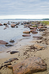 Image showing Stones on coast of Baltic sea