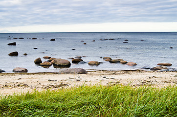 Image showing Stones on coast of Baltic sea