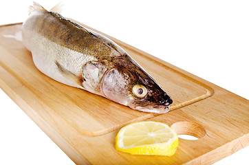 Image showing Pike perch on a wooden kitchen board, it is isolated on white