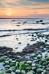 Image showing Coast of the Baltic Sea at sunset