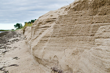 Image showing Sandy coast of Baltic sea