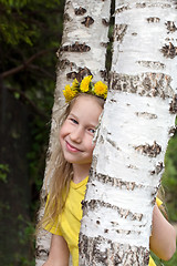 Image showing  little girl standing among birch trunks