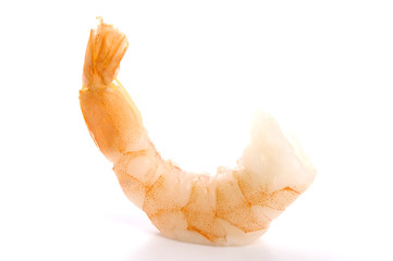 Image showing tiger shrimps isolated on white