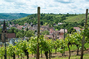 Image showing Vineyard in Uhlbach