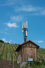Image showing Telecommunication mast in a vineyard