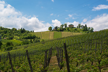 Image showing Vineyard and Chapel