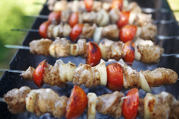 Image showing kebab preparation with tomatoes