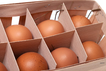 Image showing Brown eggs in eco-box