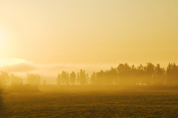 Image showing Misty morning