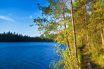 Image showing Hiking path