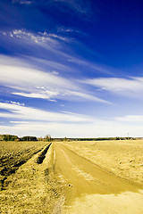 Image showing Country road