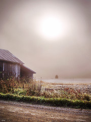 Image showing Misty countryside